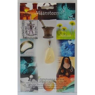 Steengoed Pendentif en pierre de lune Steengoed - Pierre de santé - 1 pièce