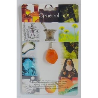 Steengoed Steengoed Carnelian Health Stone Pendant 1 Piece