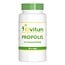 Elvitum Propolis 3% flawonoidów 90 kapsułek wegetariańskich