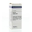 VSM Bryonia cretica D30 10 Gramm
