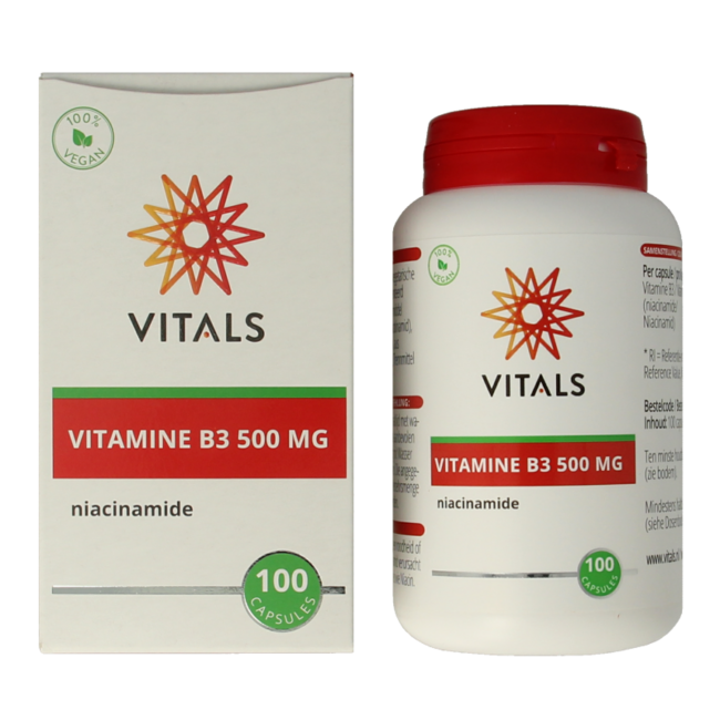 Vitamin B3 Niacinamide 500mg 100 Capsules