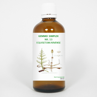 Balancepharma Balancepharma Gemmo simplex 13 equisetum arvense 100 Millilitre