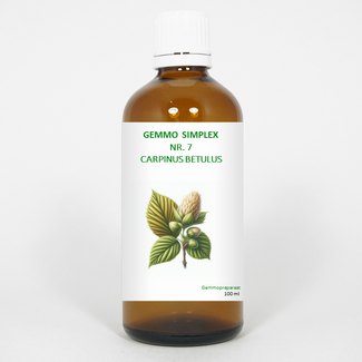 Balancepharma Balancepharma Gemmo simplex 7 carpinus betulus 100 ml