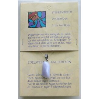 Steengoed Colgante de piedra del zodiaco Acuario Steengoed 1 unidad