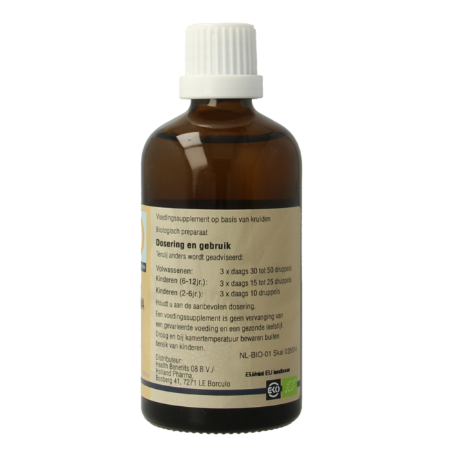 GO Pinus montana 100 ml