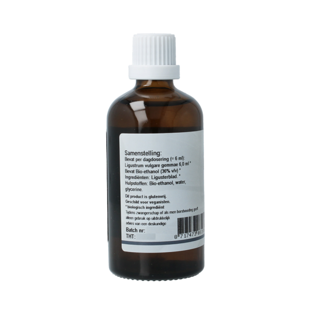 GO Ligustrum vulgare 100 Millilitre