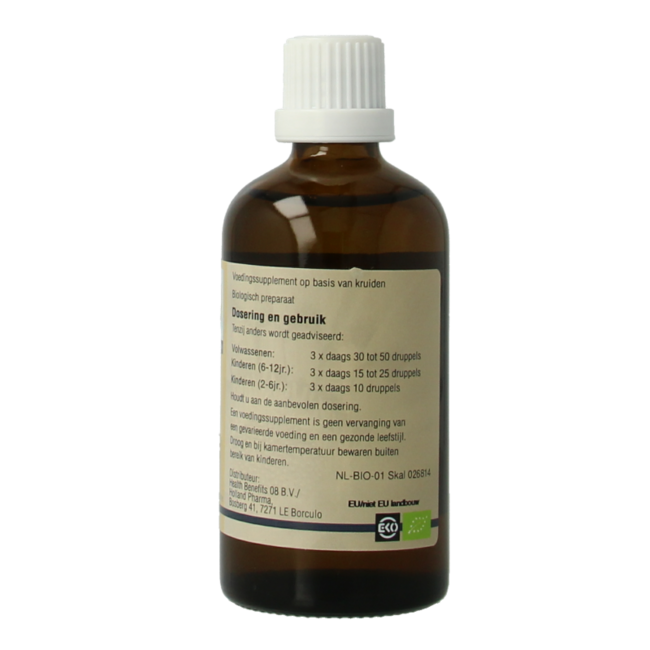 GO Cedrus libani 100 Milliliter