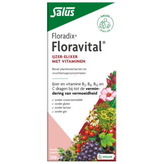 Salus Floradix Floravital 250 Mililitrów