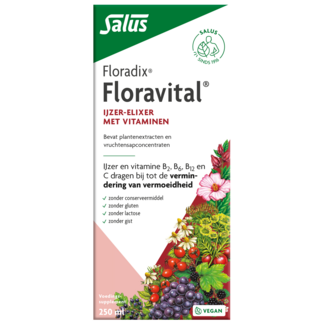 Salus Floradix Floravital 250 Millilitres