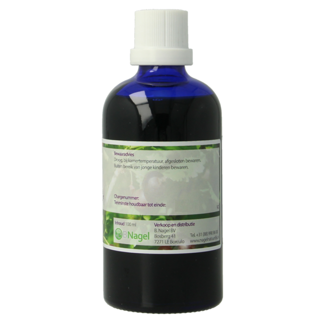 Nagel Ribes nigrum tintura 100 mililitros