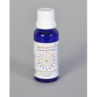 Vita Vita Transcriptie 7 mitochondrion organ 30 Millilitres
