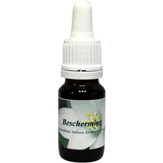 Star Remedies Star Remedies Bescherming 10 mililitros