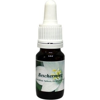 Star Remedies Star Remedies Protection 10 Millilitres