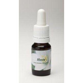 Star Remedies Star Remedies Hosta 10 mililitros