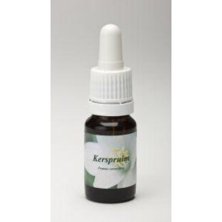 Star Remedies Kerspruim 10 mililitros