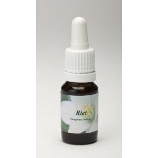 Star Remedies Riet 10 Millilitres