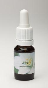 Star Remedies Riet 10 Milliliter