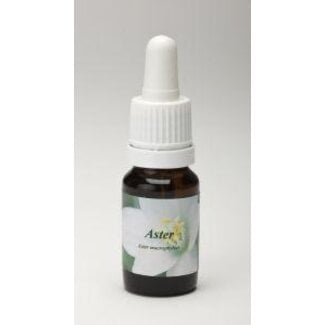 Star Remedies Aster 10 mililitros