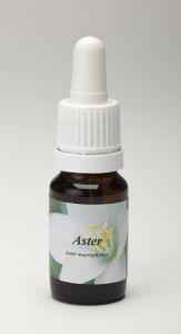 Star Remedies Aster 10 Milliliter