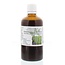 Cruydhof Scutellaria / Tintura de escutelaria americana 100 ml