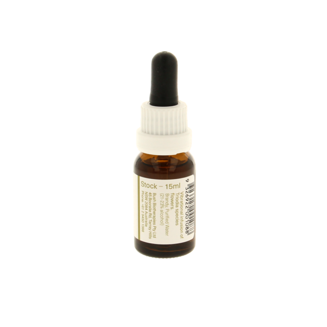 Australischer Busch-Spinifex 15 Milliliter