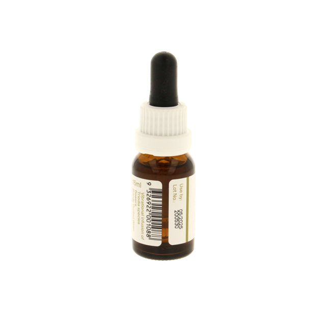 Australian Bush Spinifex 15ml