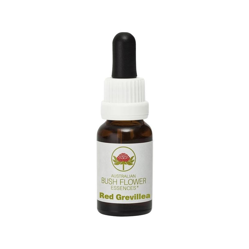 Australian Bush Red grevillea 15 Milliliter