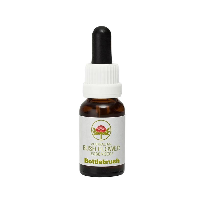Australian Bush Bottlebrush 15 Milliliter