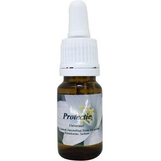 Star Remedies Star Remedies Protectie 10,00 Milliliter