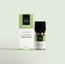 Ingwer CO2-TO Bio 10 Milliliter