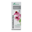 Soria Natural Echinacea purpurea XXI 50 Millilitri