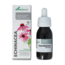 Soria Natural Echinacea purpurea XXI 50 Millilitri