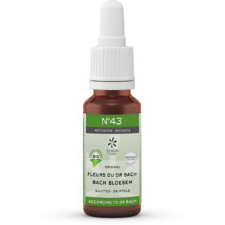Bach Bloesem Bach Bloesem Bach bloesems mengeling 43 motivatie bio  20 Milliliter