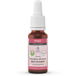 Bach Bloesem Bach Flower Bach flower mix 40 energy organic 20 Millilitres