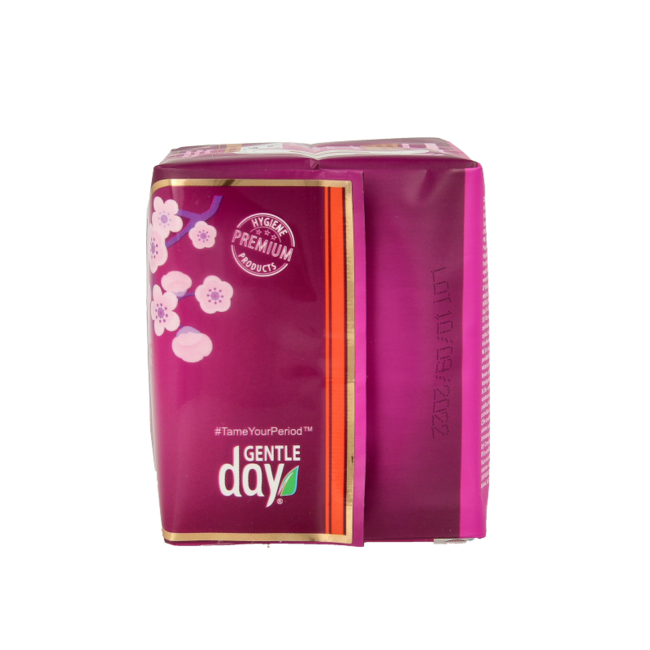 Day Sanitary Pads 10 Pieces