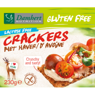 Damhert Damhert Crackers de avena 230 Gramos