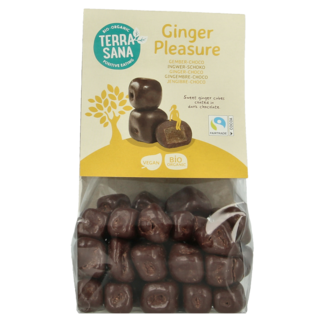 TerraSana Ginger pleasure choco bio 150 gramos