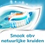Coolmint toothpaste 75 Millilitres