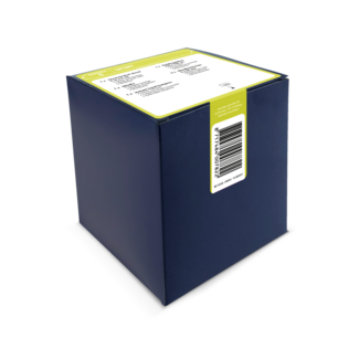 Heltiq Heltiq Module 6 Sport 1 Piece