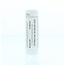Homeoden Heel Nitricum acidum D30 6g