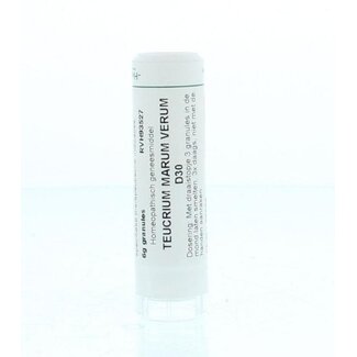 Homeoden Heel Homeoden Heel Teucrium marum verum D30 6 Gram