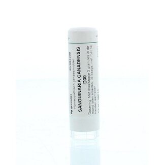 Homeoden Heel Homeoden Heel Sanguinaria canadensis D30 6g