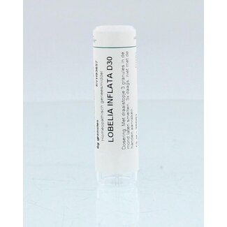 Homeoden Heel Homeoden Heel Lobelia inflata D30 6 gramów