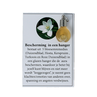 Star Remedies Protection Pendant 1 Piece