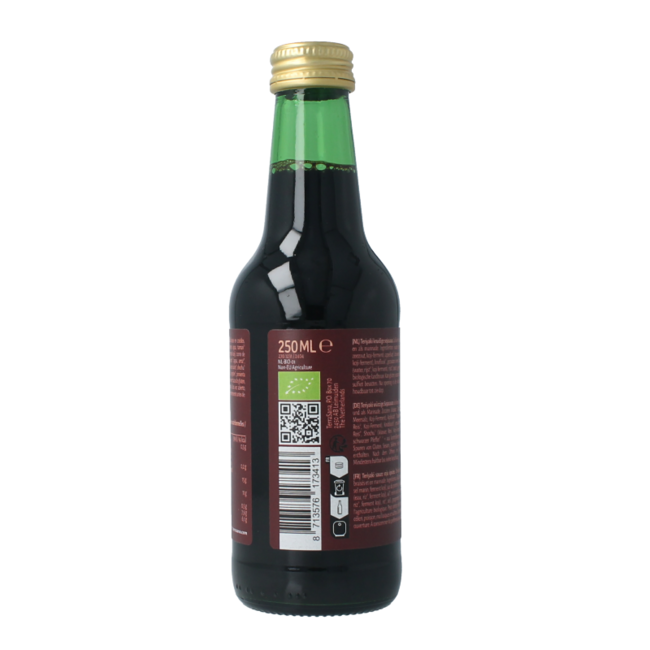 TerraSana Teriyaki eco bio 250 mililitros