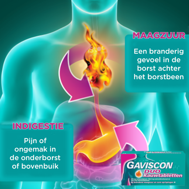 Gaviscon Duo 24 Chewable Tablets
