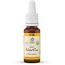 Bach Flower Essence Wild Oat Organic 20ml