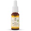 Bach Flower Mustard Organic 20ml