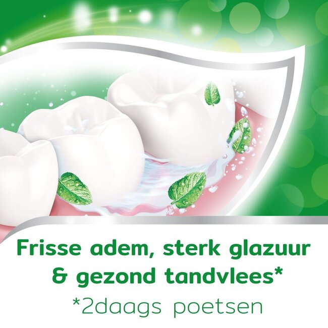 Anti-cavity toothpaste 75 Millilitres