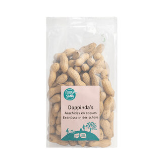 TerraSana TerraSana Cacahuetes con cáscara tostados bio 330 gramos